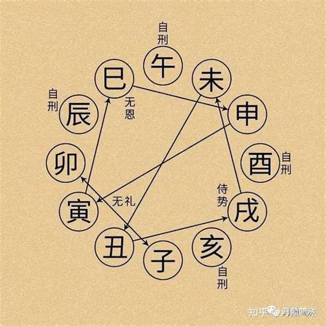 地支相害|基础篇 地支—刑冲合害（中）十二支相害